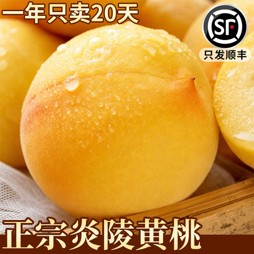 2026当季炎陵黄桃顺丰包邮