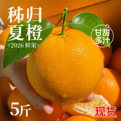 树上熟！正宗秭归脐橙！香甜多汁