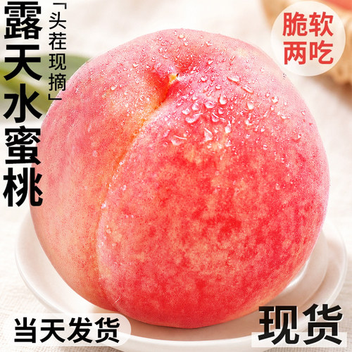 新鲜水蜜桃现货！当天发货！
