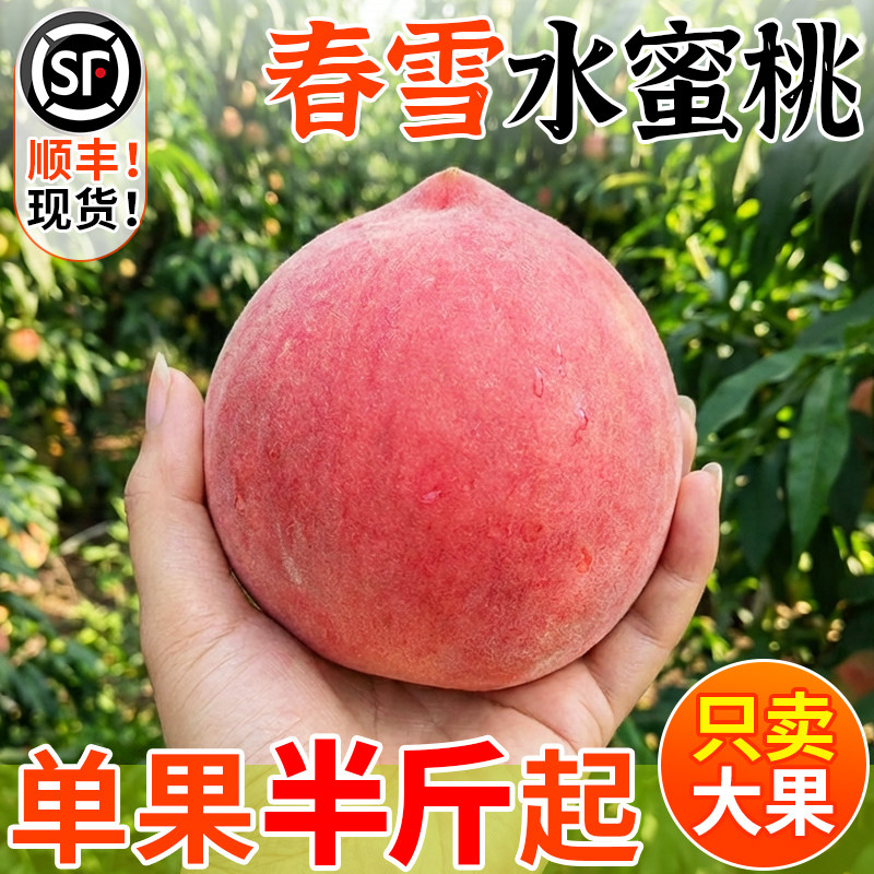 春雪水蜜桃春季应季桃新鲜水果当季现摘时令露天整箱5斤软脆桃子