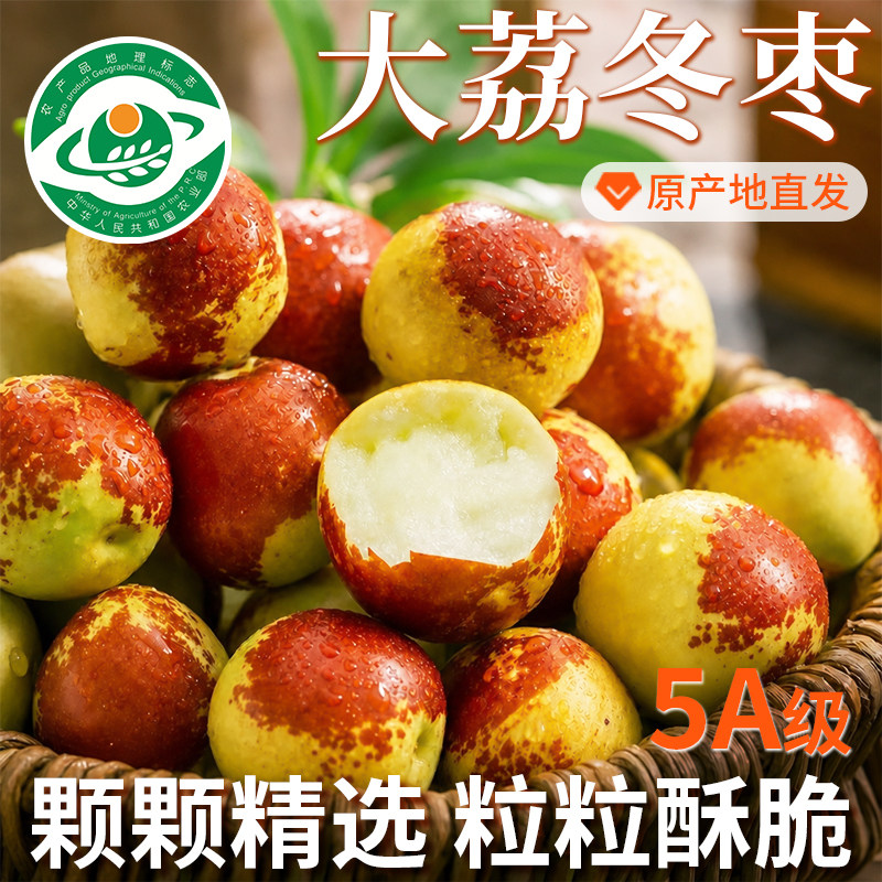 正宗陕西大荔冬枣新鲜大枣当季现摘现发脆甜鲜果青枣整箱5斤