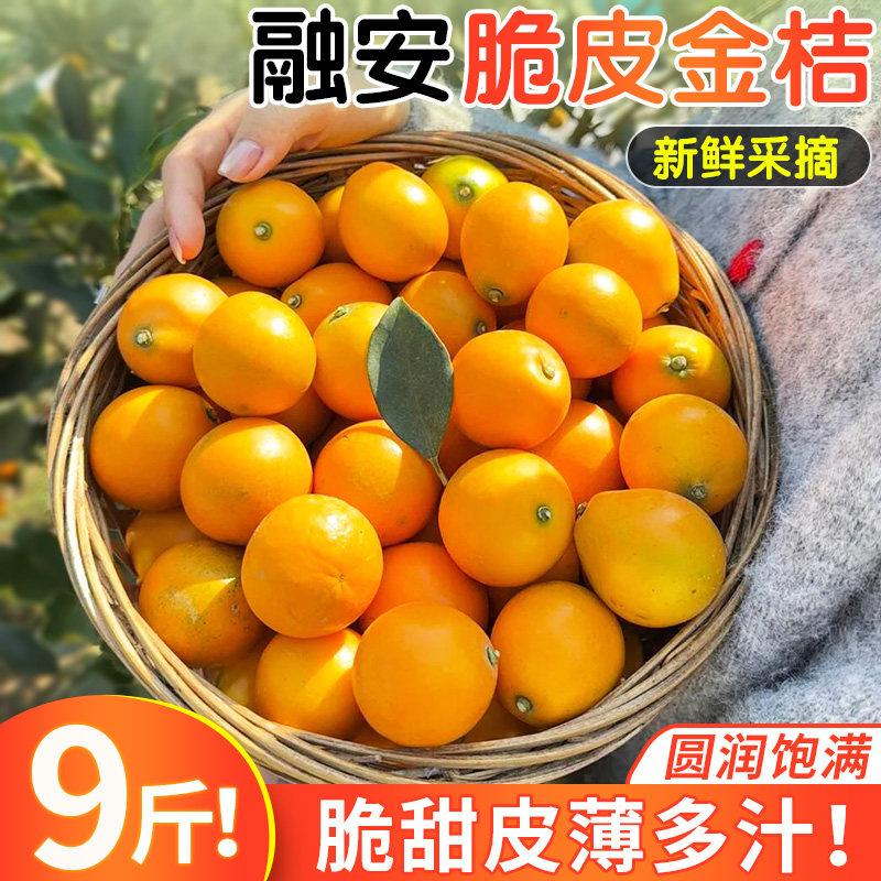 广西融安脆皮金桔鲜果应当季新鲜水果金柑整箱现摘9斤顺丰包邮,水产肉类/新鲜蔬果/熟食,桔子,淘宝优惠券,粉丝福利购,淘宝优惠卷