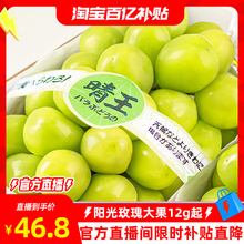 【淘宝百亿补贴官方直播】阳光玫瑰