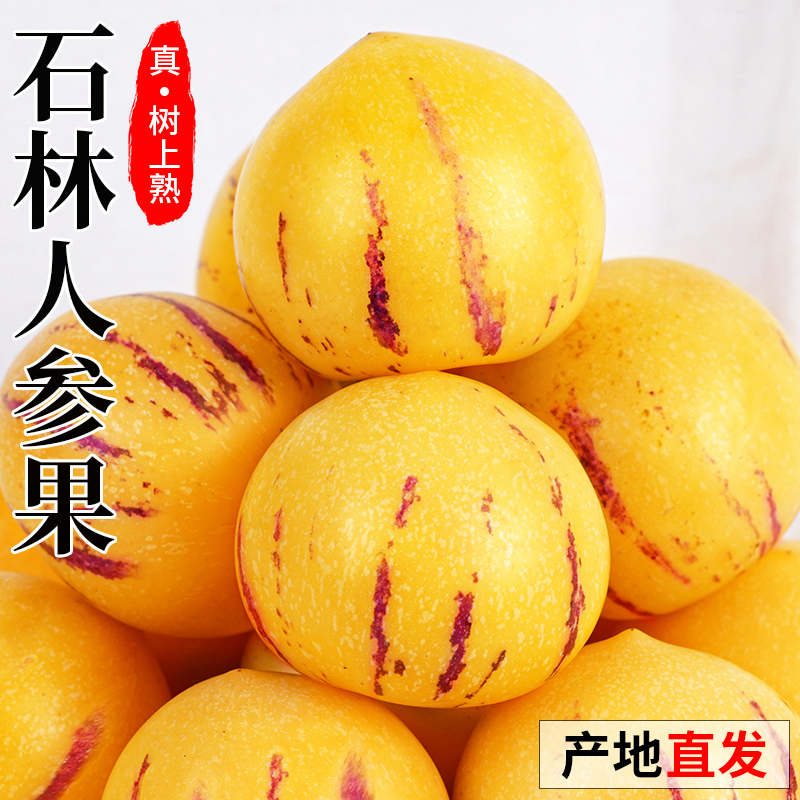ڲ1 Բ С25-50g յʳƤʯ˲ι9.9Ԫ