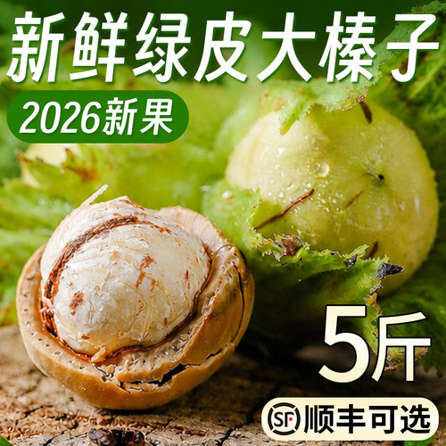 新鲜榛子现摘带皮生水仁大榛子2026年绿皮新鲜坚果干货包邮