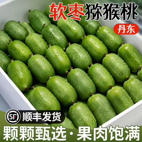 【送货上门】商超品质现摘奇异莓