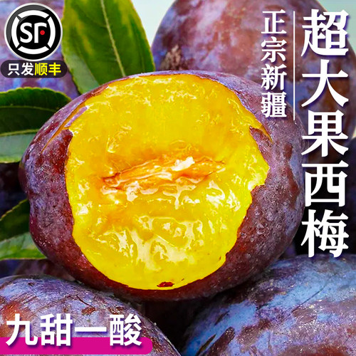 正宗西梅顺丰包邮孕妇水果