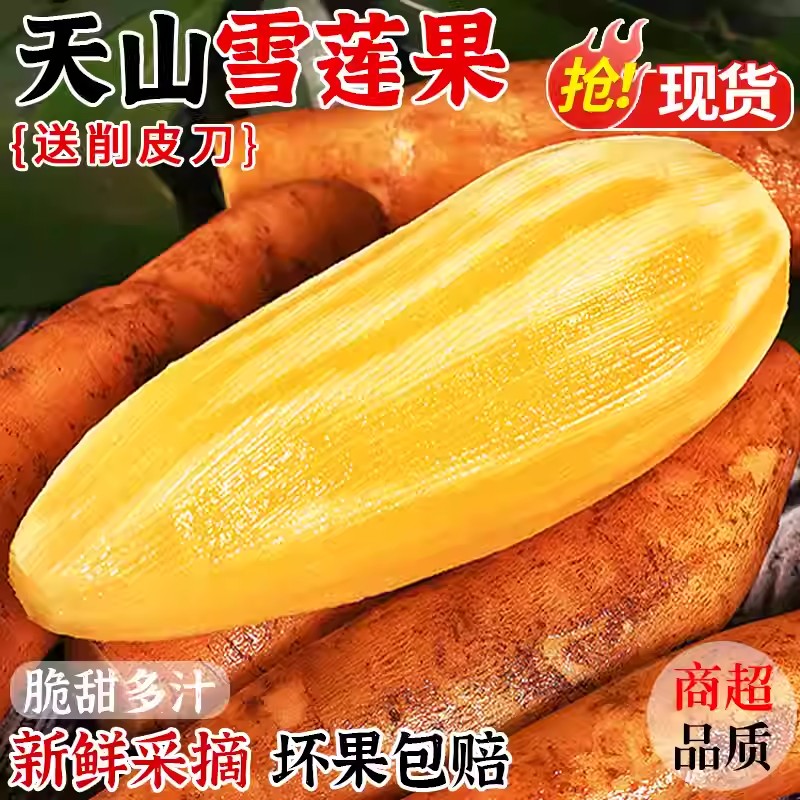 天山雪莲果新鲜水果5斤红心特级当季整箱正品一级云南现挖包邮,水产肉类/新鲜蔬果/熟食,雪莲果,淘宝优惠券,粉丝福利购,淘宝优惠卷