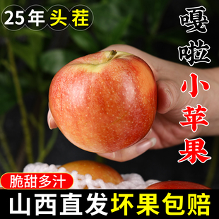 正宗嘎啦苹果新鲜水果应当季 现摘红富士甜脆冰糖心丑平果整箱