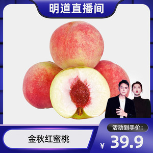 【现货！明道直播】山东金秋红蜜桃水蜜桃子脆桃当季霜红冬桃整箱