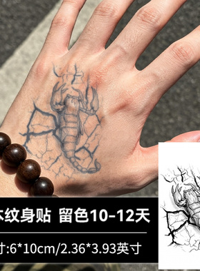 【4张】裂岩蝎王纹身贴防水男持久高级感手臂手腕草本腿部贴纸