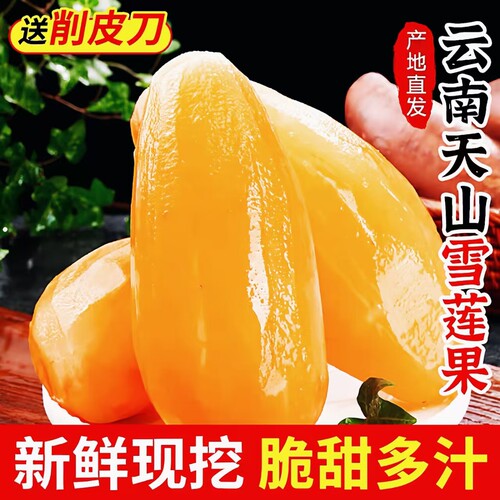 云南天山雪莲果红心一级