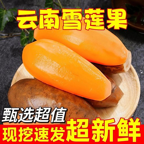 新鲜雪莲果红心一级现挖现发正宗云南天山黄心整箱脆清甜孕妇水果