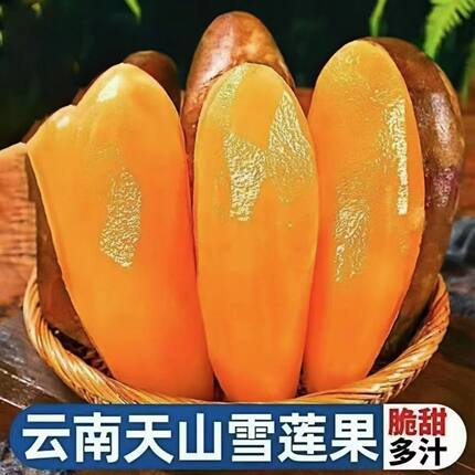 雪莲果新鲜红心长果特级9斤装云南天山当季整箱现挖现发一级黄心