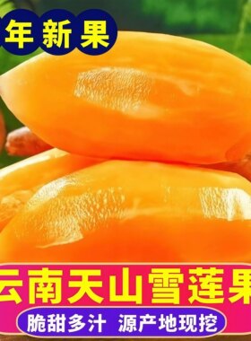 新鲜低糖特级高山红泥沙雪莲果
