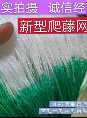 植物爬藤网攀爬种植网豆角黄瓜苦瓜丝瓜吊瓜百香果专用网农业用网
