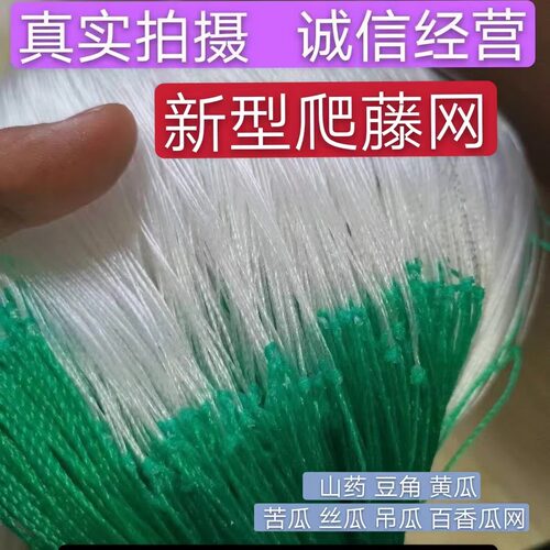 植物爬藤网豆角黄瓜百香果