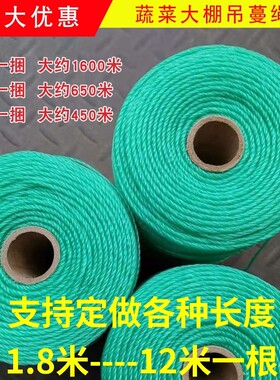 大棚吊绳黄瓜辣椒西红柿蔬菜吊线尼龙吊蔓绳吊秧绳爬藤网拉绳熟料