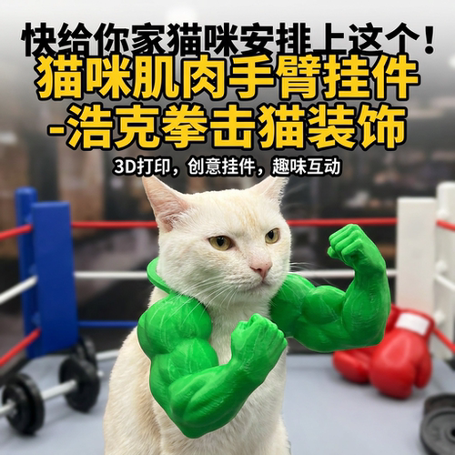 猫咪肌肉手臂挂件浩克拳击猫装饰
