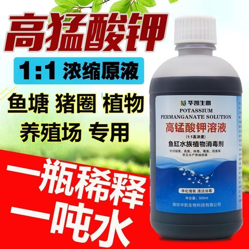 鱼缸高锰酸钾溶液植物养鱼鱼池
