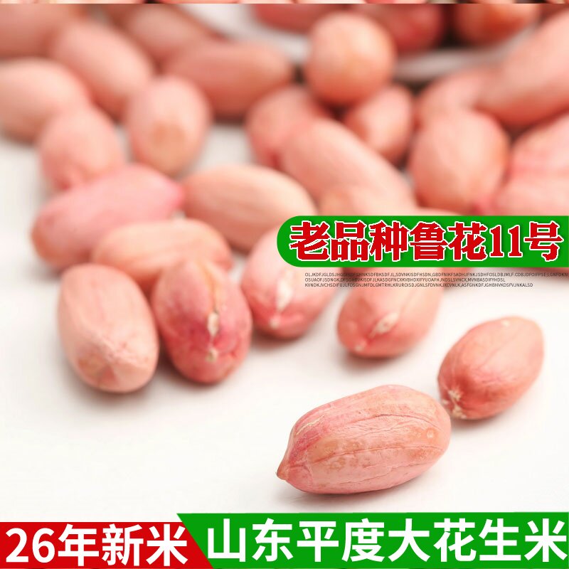 26年新山东大花生米生的新鲜晒干