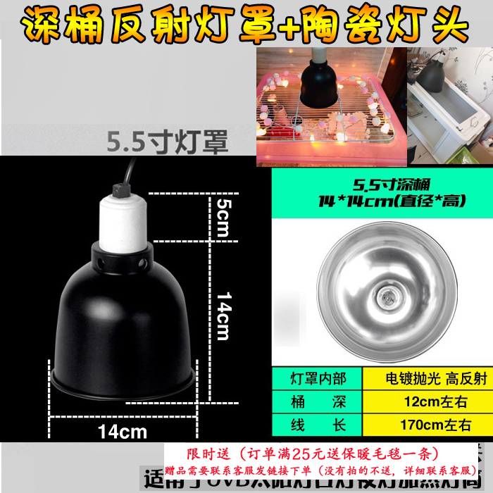 迷你刺猬爬虫灯罩5.5寸变色龙深桶陶瓷蜥蜴陆龟宠物加热爬箱网箱