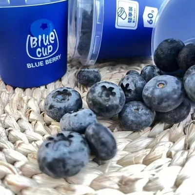 小懒杯蓝莓鲜果14+云南花香蓝莓