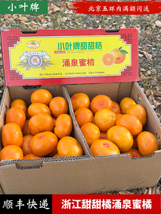 浙江小叶牌甜甜橘涌泉蜜橘约16斤礼盒易扒皮爆汁 新 橘子桔子当季