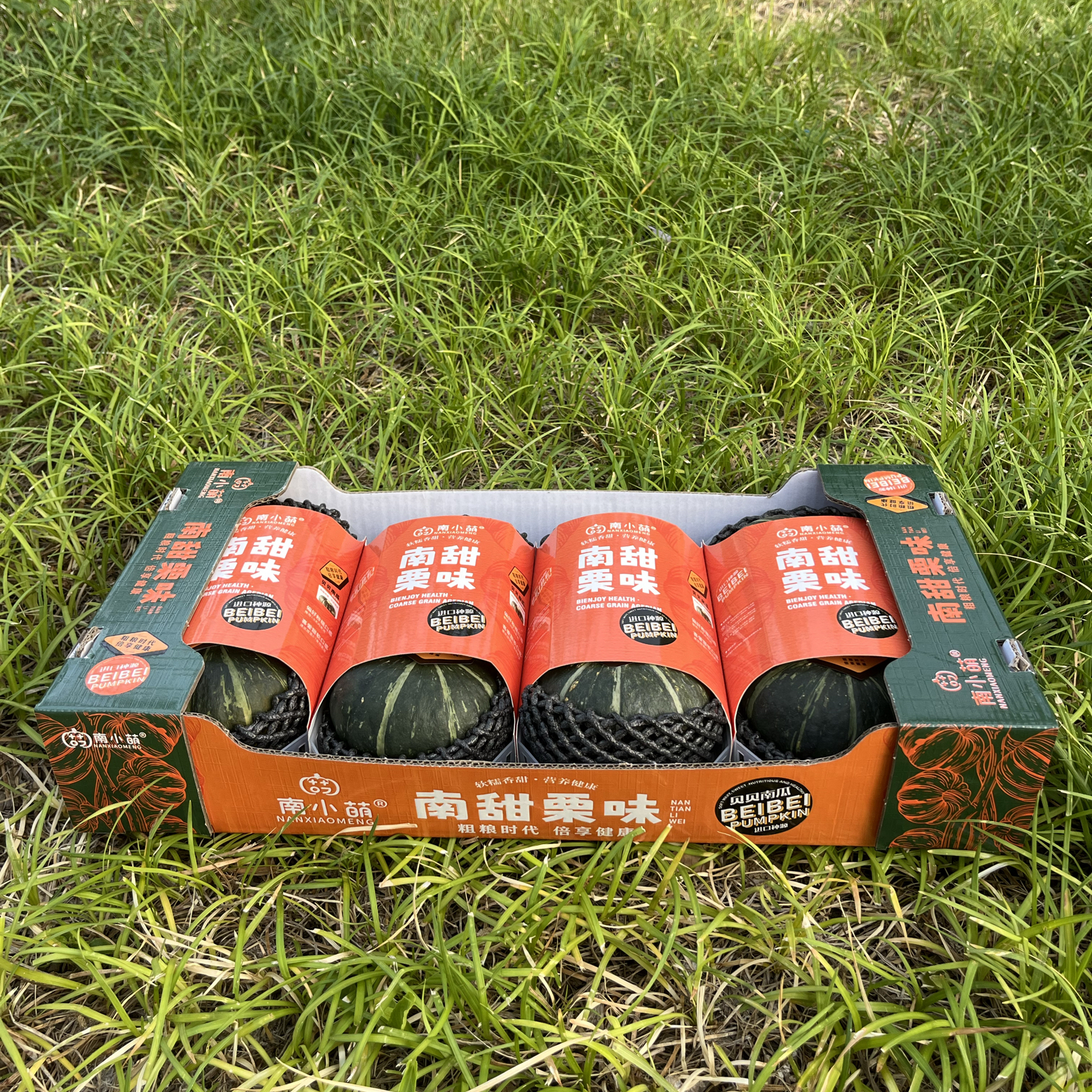 南小萌南甜栗味贝贝南瓜干面甜
