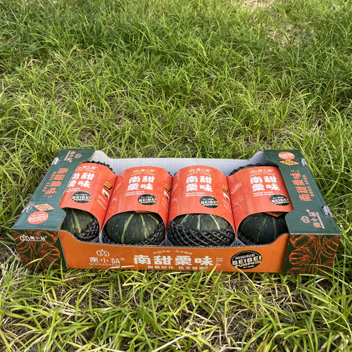 南小萌南甜栗味贝贝南瓜干面甜