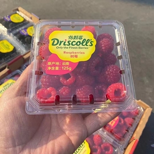 大果怡颗莓树莓 新鲜云南红树莓鲜果树梅一颗覆盆子独立包装顺丰