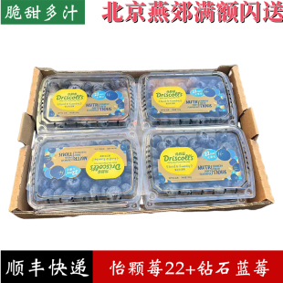 钻石版22mm大果Driscoll's怡颗莓 版云南蓝莓 200g/盒 顺丰包邮