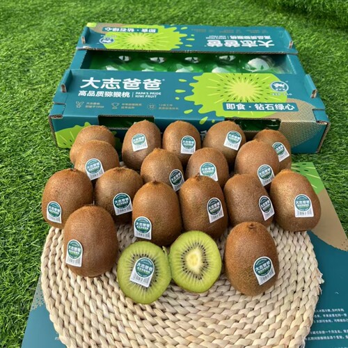 大志爸爸高品质猕猴桃徐香奇异果