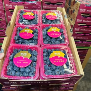 稼沃雪山恬蓝莓云南雪山蓝莓鲜果新鲜孕妇水果脆甜甜出新高度