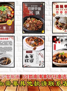 甲鱼沙鳖高清防水自粘贴画