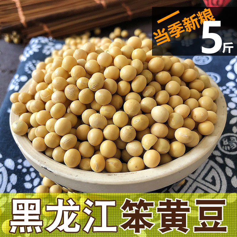 5斤装东北黄豆发豆芽打豆浆专用农村笨黄豆大豆手选精品小黄豆