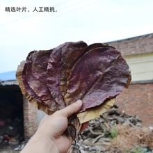 榄仁叶龙眼叶水族净化水质稳定PH杀菌鱼缸造景龙斗鱼养龟懒人橄榄