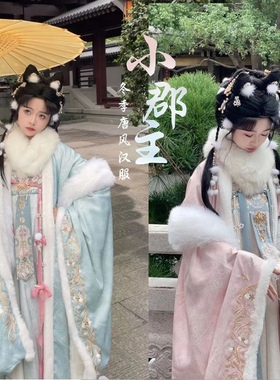 冬款唐制汉服女【小郡主】毛绒绣花大袖衫齐胸破裙温暖超仙加厚