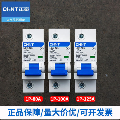 正泰1P空开断路器NXB-125C型100A