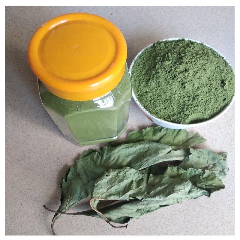 南非叶干叶粉130克瓶散装包邮黑面将军叶树苗干茶茶新鲜叶打粉细