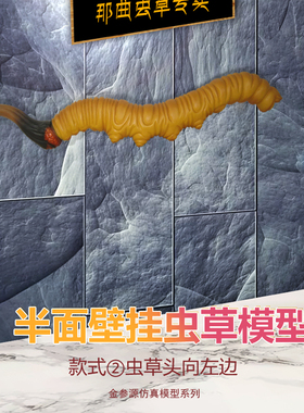 壁挂仿真模型店铺展示一米大号
