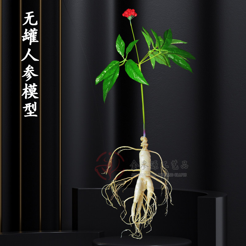 鲜人参仿真罐装模型1至6年根大中小人参中药材店装饰展示人参摆件