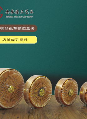 虫草模型商家拍照道具实体陈列