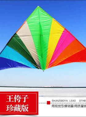 2025新品王侉子珍藏版544软伞布纯碳杆微风大型成人好飞风筝