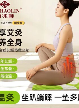 俞兆林电热居家热敷艾草垫保暖