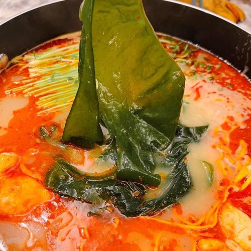 新鲜裙带菜火锅裙带菜