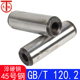 T120.2 淬硬钢内螺纹圆柱销 内螺纹定位销GB120 中碳
