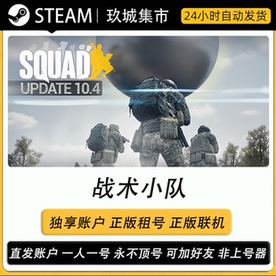 Steam 战术小队 游戏账户正版联机租号 账密直登全dlc皮肤豪华版