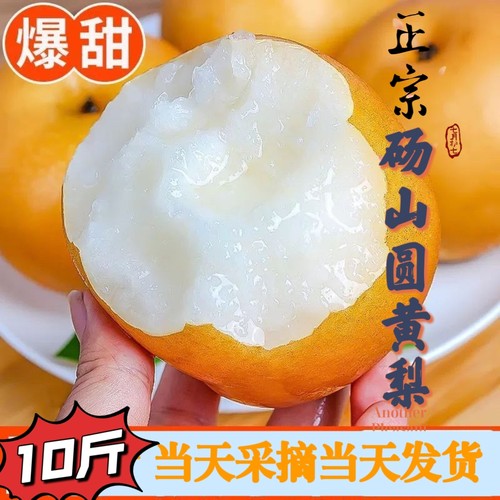 安徽砀山梨圆黄梨脆甜多汁秋月梨新鲜当季孕妇水果10斤装6