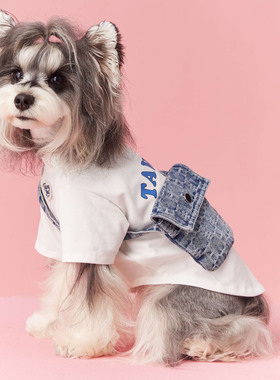 春夏季汤尼熊小狗狗衣服泰迪雪纳瑞比熊约克夏博美马尔济斯猫T恤